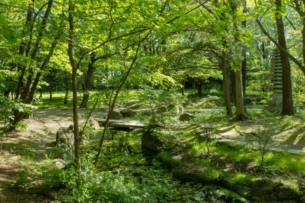 帯広神社の池